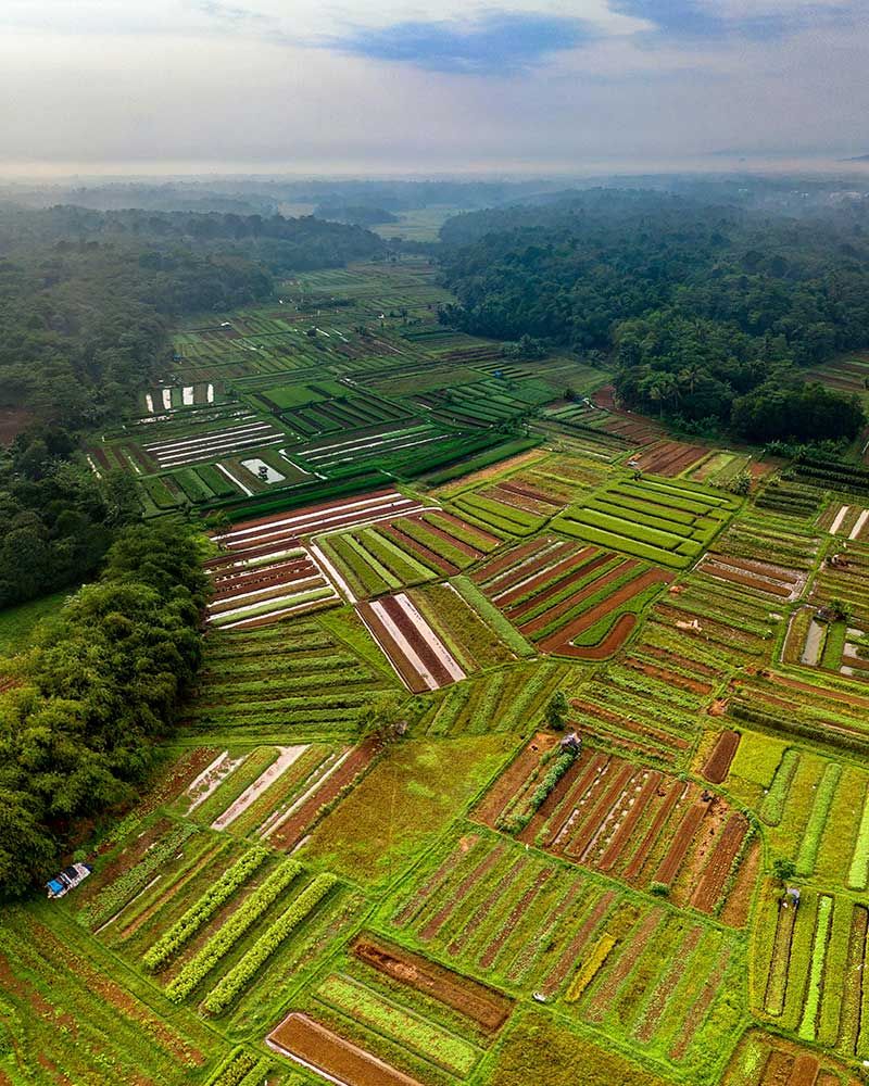 ESTUDIOS MEDIOAMBIENTALES