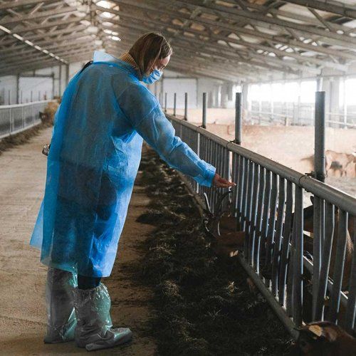 Coordinación de seguridad y salud en la fase de elaboración del proyecto