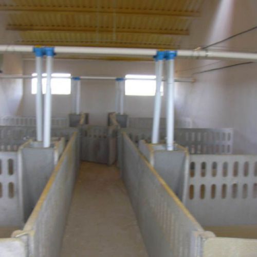 Instalación ganadera con separadores