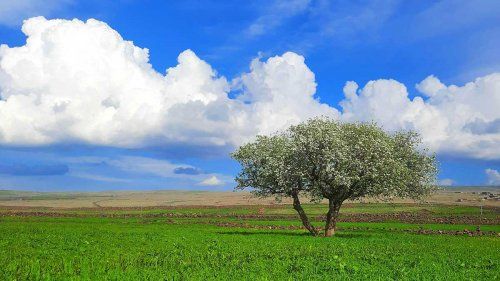Estudios medioambientales