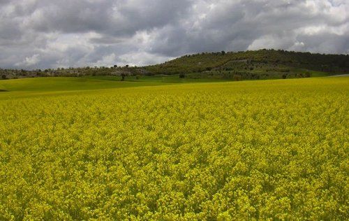 Valoraciones agrarias Valladolid