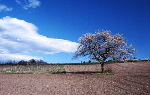 Estudios medioambientales Valladolid