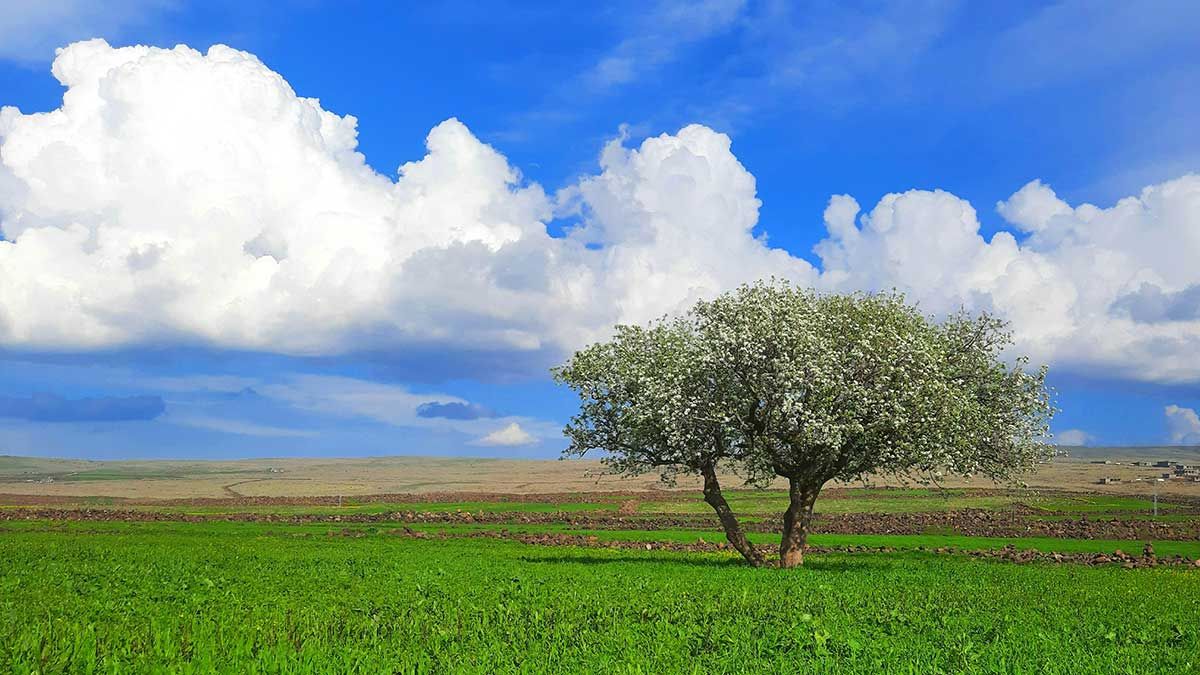 Estudios medioambientales