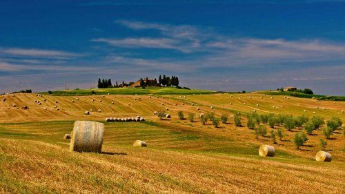 Coordinación de salud y seguridad en obra