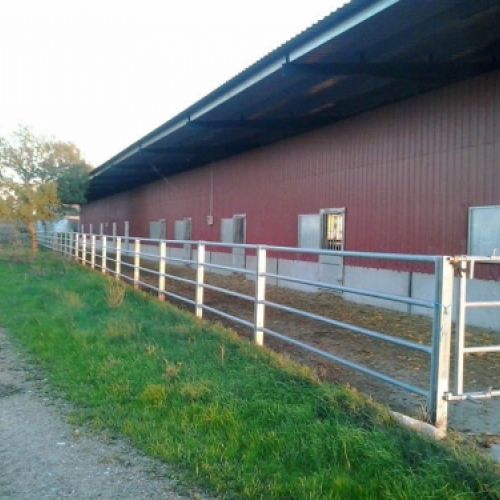 Exterior de instalación ganadera