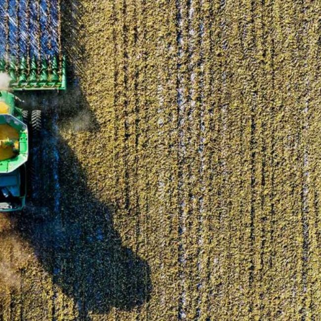 Empresa de ingenieros agrónomos